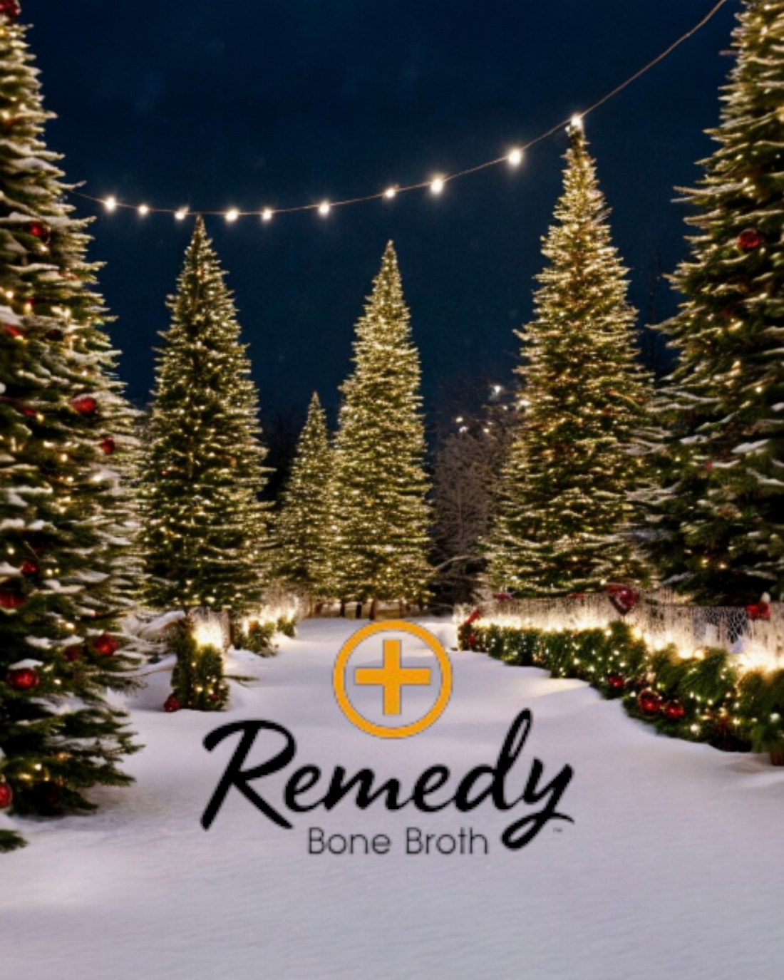 The Comfort We Crave: Benefits of Remedy Bone Broth in the Cold Month of December